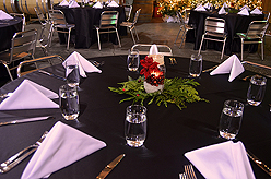 QUANTIVATE HOLIDAY PARTY